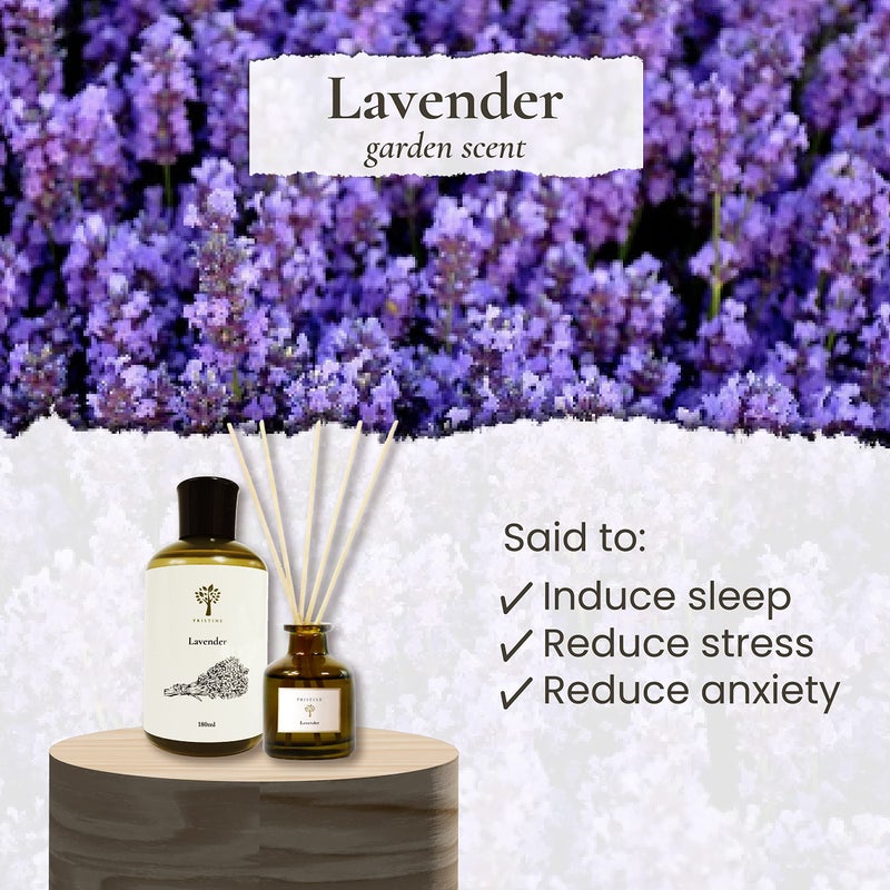 PRISTINE Lavender Dream Reed Diffuser for Home | Fresh Lavender & Eucalyptus Room Fragrance Reed Diffusers, Oil & Room Diffusers with Reeds Stick Set | Home Fragrance Scent Diffuser for Relaxation - Image 3